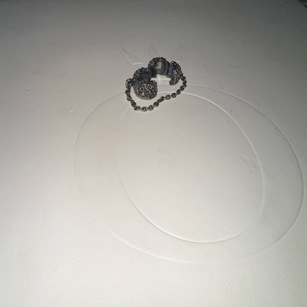 Pandora clip charm